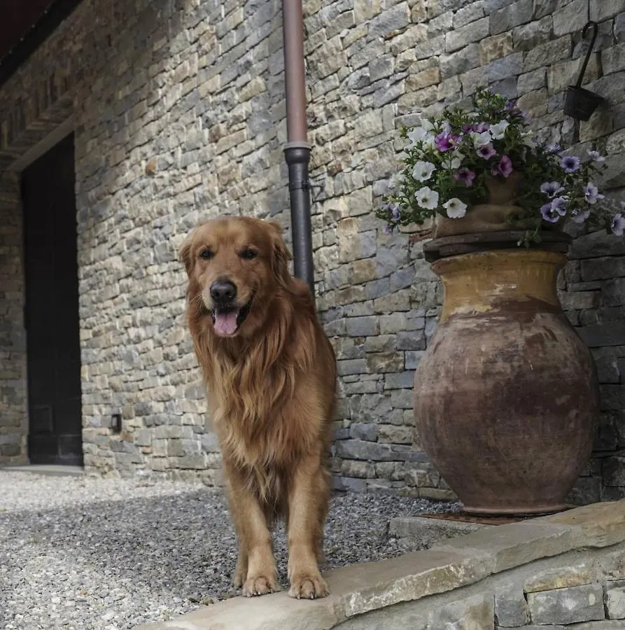Bed & Breakfast B&B Il Pianolo Perinaldo